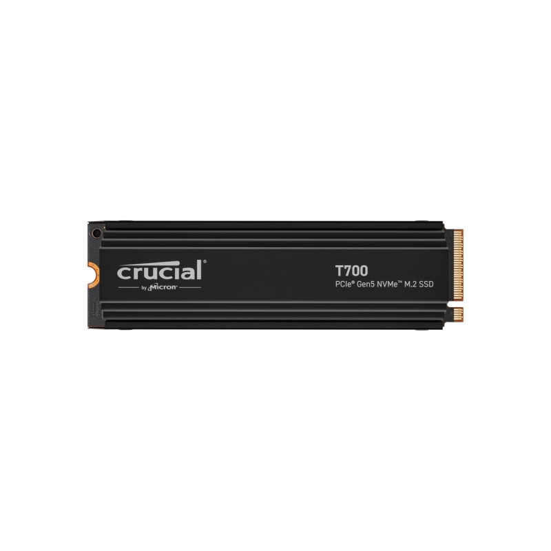 CT1000T700SSD5-1